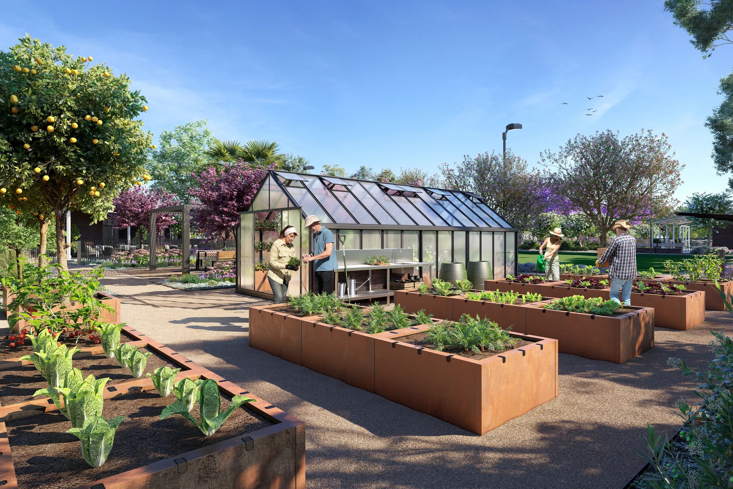 CLUBHOUSE — COMM GARDEN — LightBG — architectural visualisation